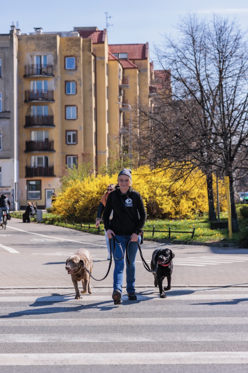 HeartcoredogsBerlin - Hundetraining - Frauen, die mit ihrem Hund auf der Straße spazieren gehen.