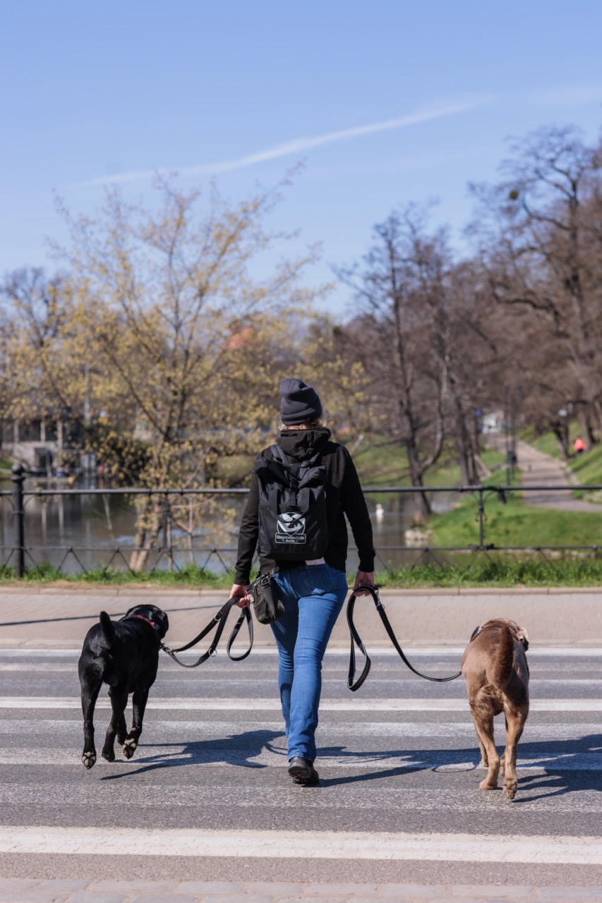 HeartcoredogsBerlin - Hundetraining - Frauen, die mit ihrem Hund auf der Straße spazieren gehen.